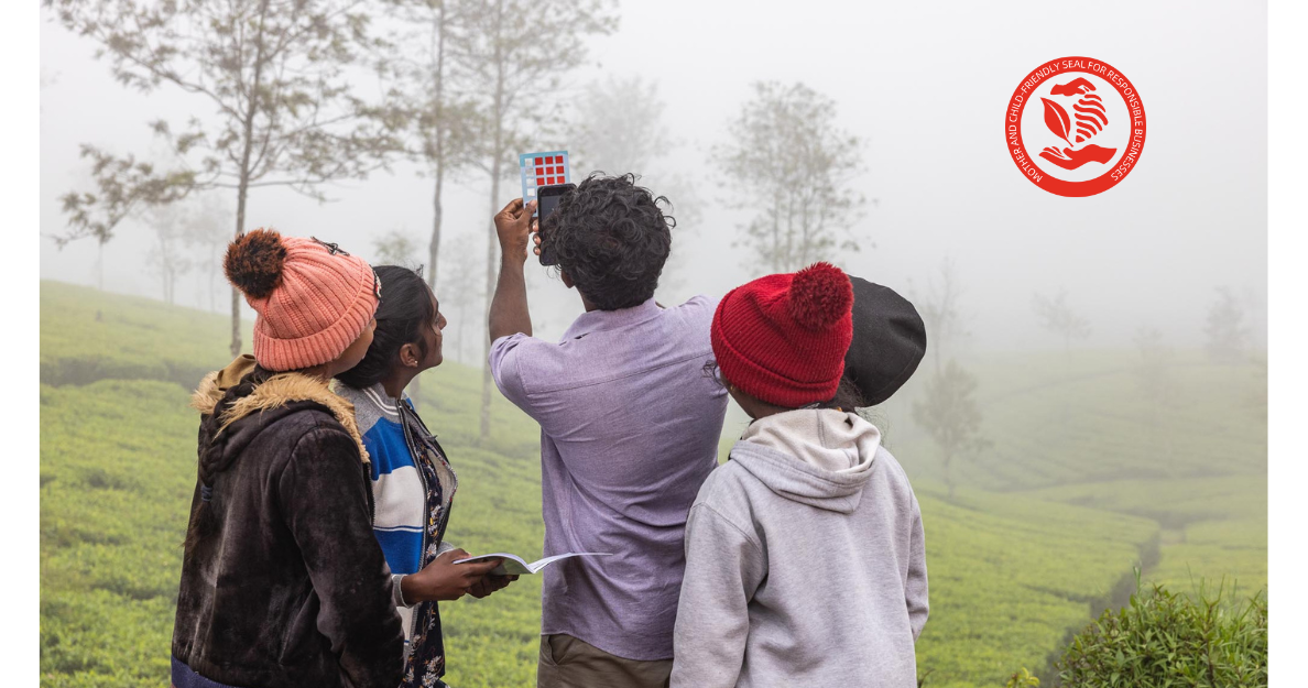 Tea, Technology and Tomorrow: A STEM Education Initiative in Sri Lanka's Tea Heartland